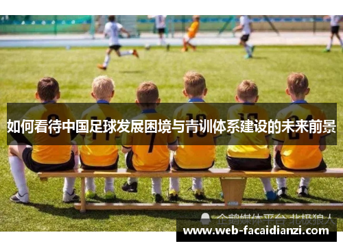 如何看待中国足球发展困境与青训体系建设的未来前景
