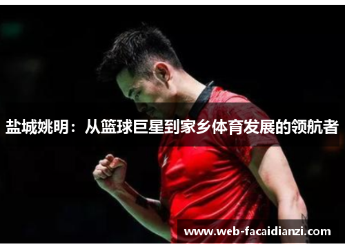 盐城姚明：从篮球巨星到家乡体育发展的领航者